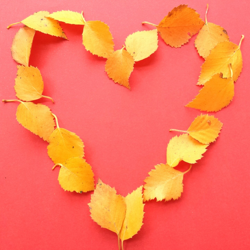 Lichtpuntje 2010 Inspiratie Zo mooi is de herfst