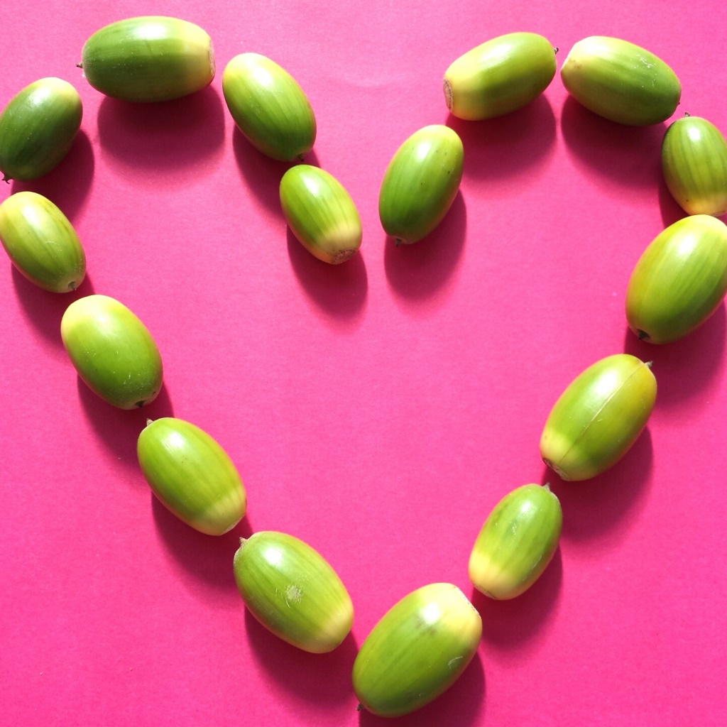 Lichtpuntje 2010 Inspiratie Zo mooi is de herfst