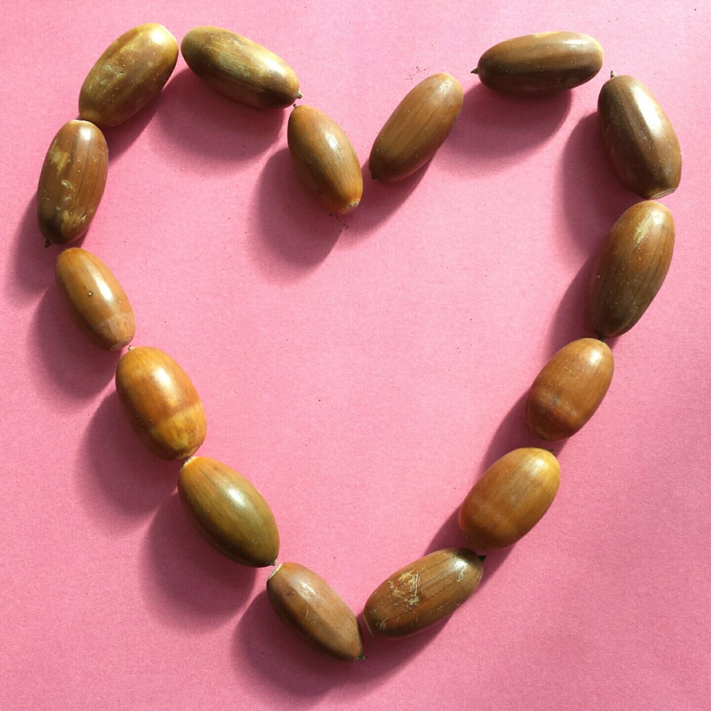 Lichtpuntje 2010 Inspiratie Zo mooi is de herfst